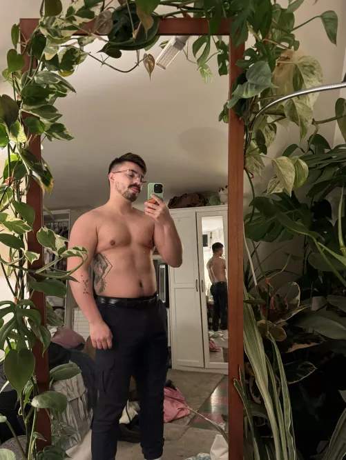 Is the mass gainer working