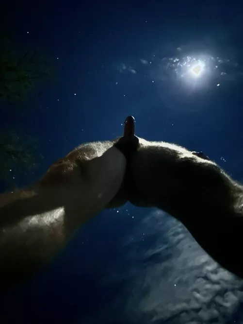 Life, the Universe and Everything