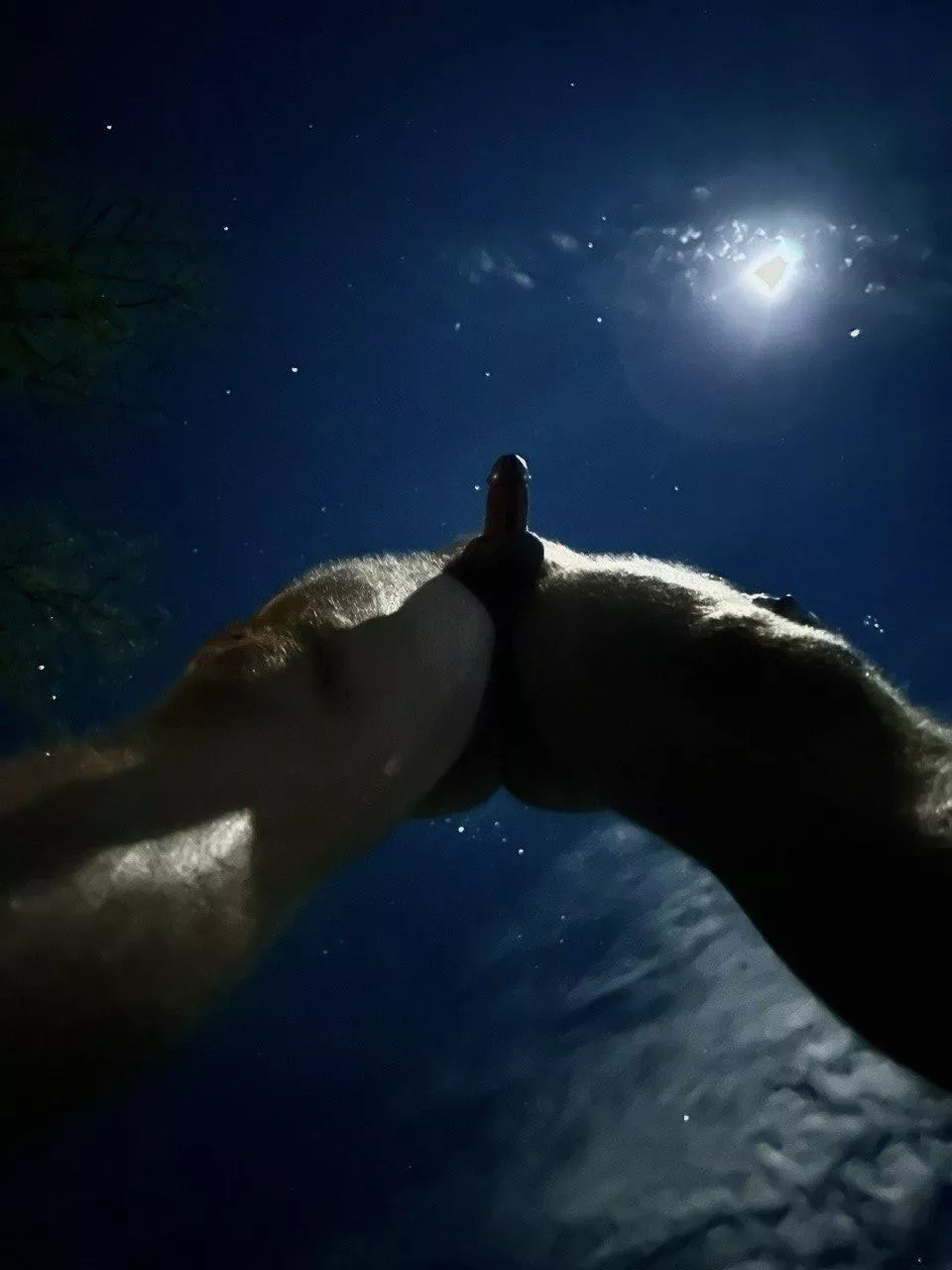 Life, the Universe and Everything