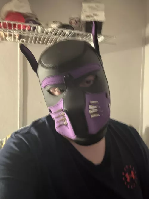 Puppy is very tired… gonna go rest 