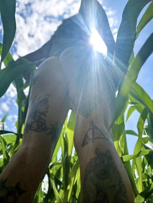 Saw the opportunity, took the opportunity 