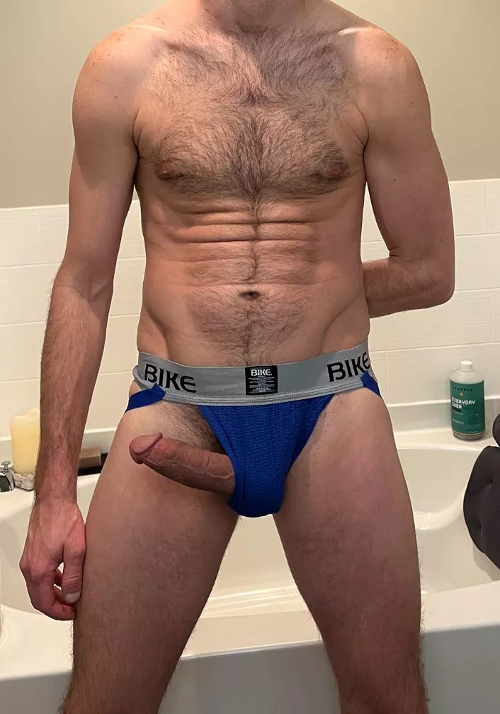 Some animals can’t be tamed 