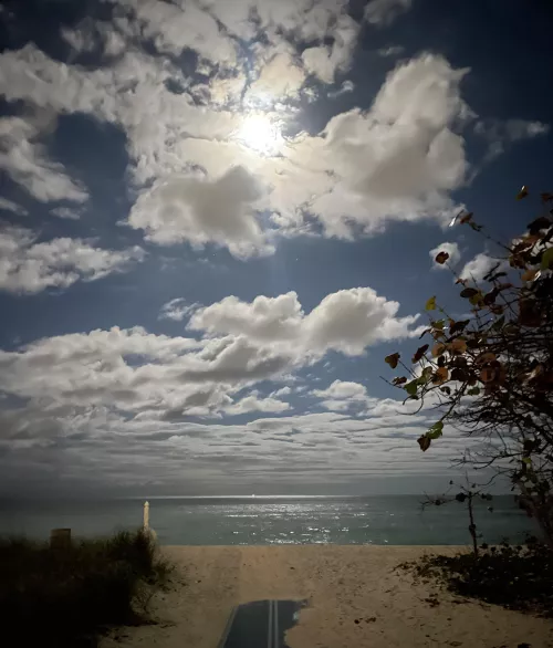 Watching the moonrise 