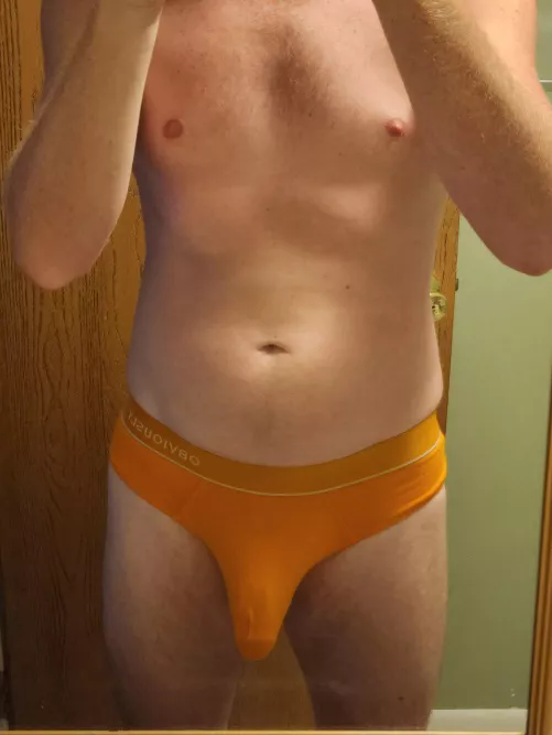 What do guys or gals think of my briefs?