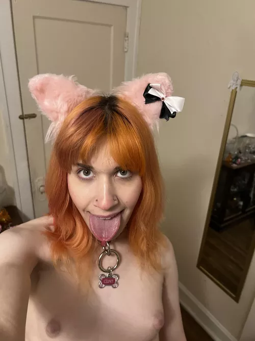 y'all rocking with trans puppy girls? 🐶💖