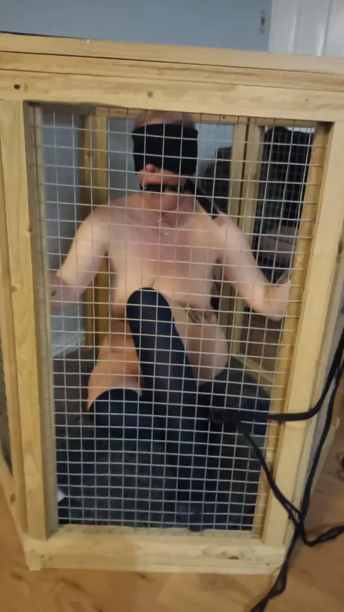 Caged, bound, gagged, plugged and blindfolded