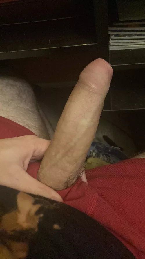 Could I talk you into lending me a hand?