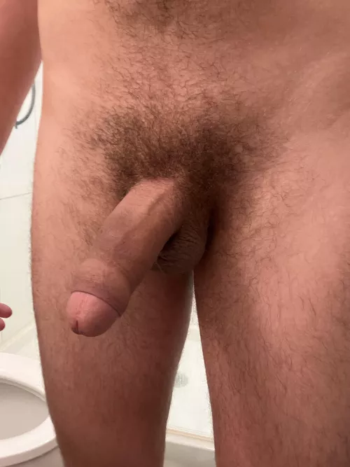 Does my bush look good this morning?