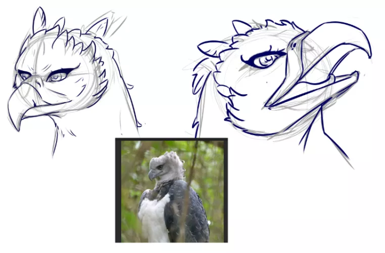 Doing a little study to warm up the hand !!