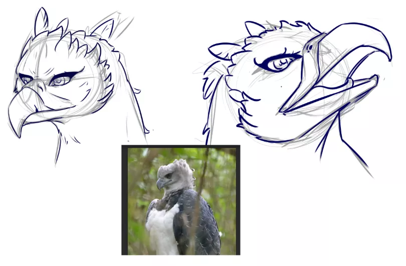 Doing a little study to warm up the hand !!