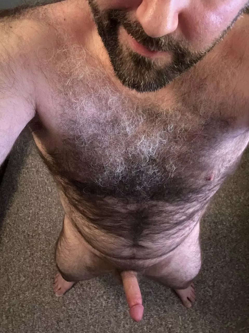 Hope you like hairy dad bods [41]