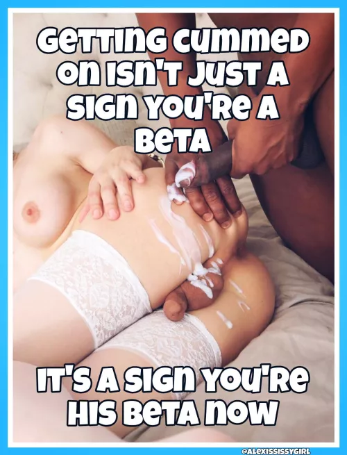 I guess you're property now