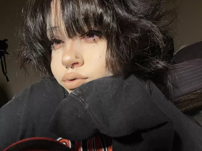 pspspspsps ₍^.   ̫ .^₎