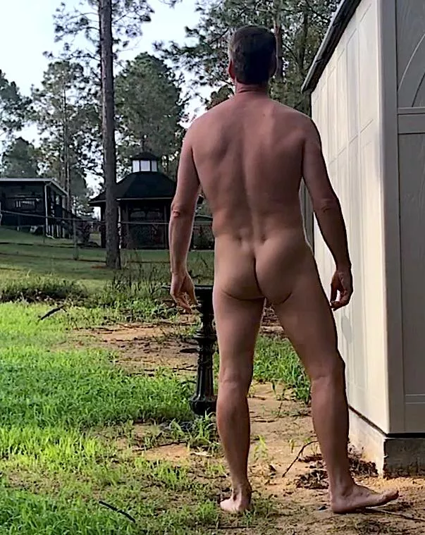 Ready for a backyard adventure!