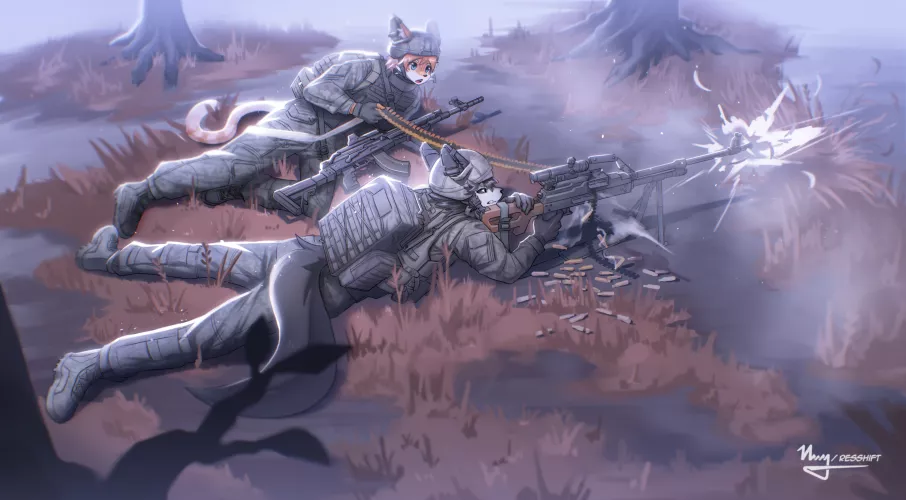 Two furs, one foggy forest