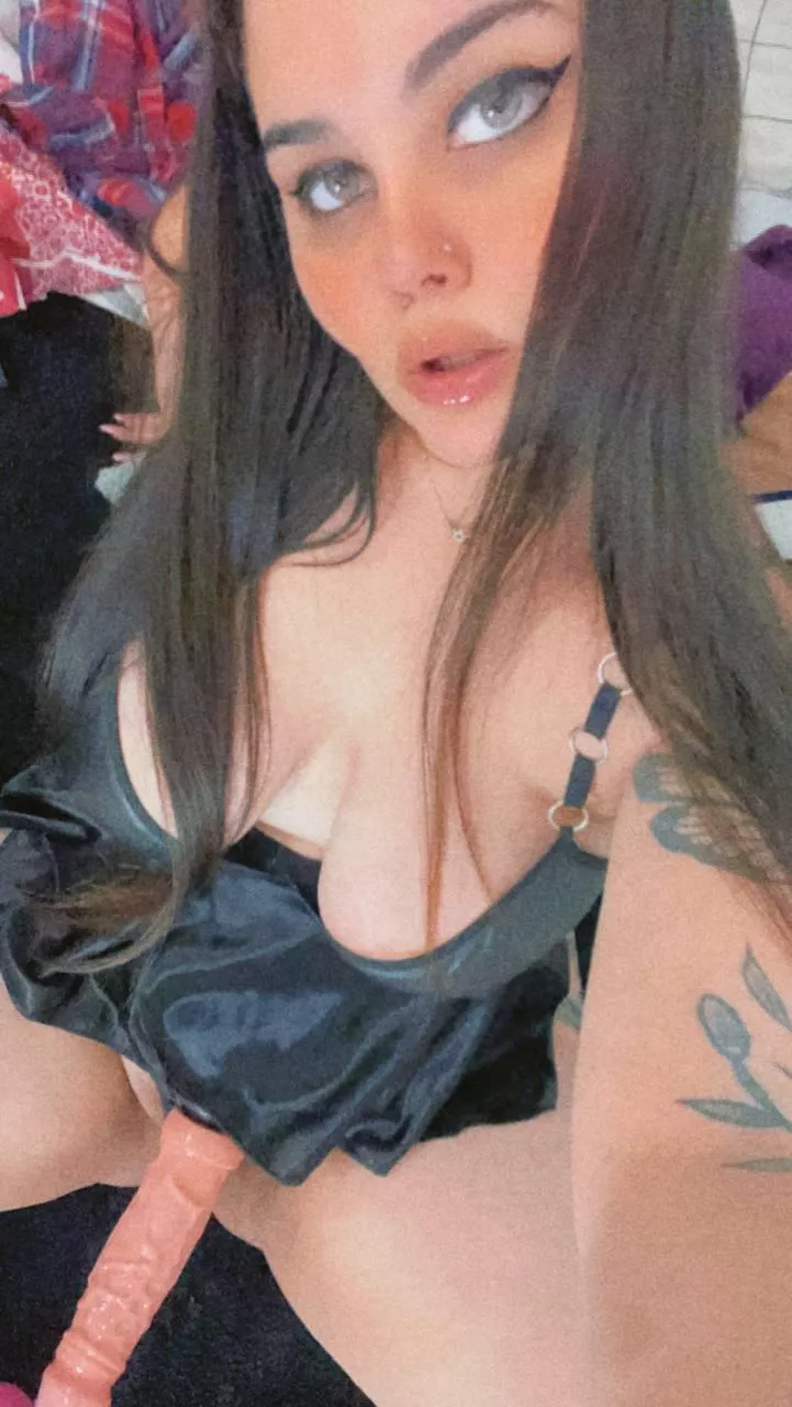 Would you let me peg you 7 times per day?