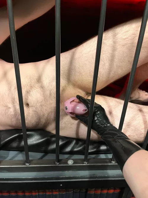 (18F) You’ll be sleeping in two cages from now on.