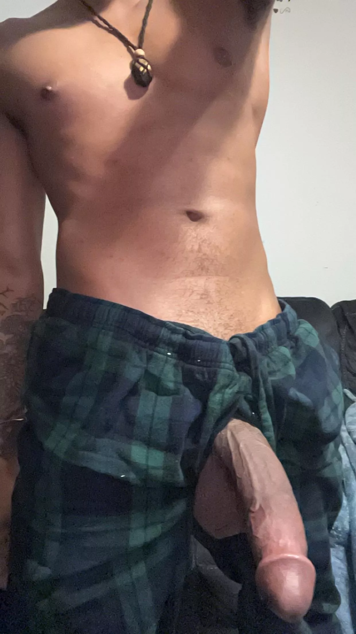 21M Norfolk Virginia USA bull