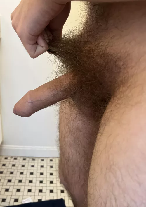 (22 college) this bush is getting out of hand…