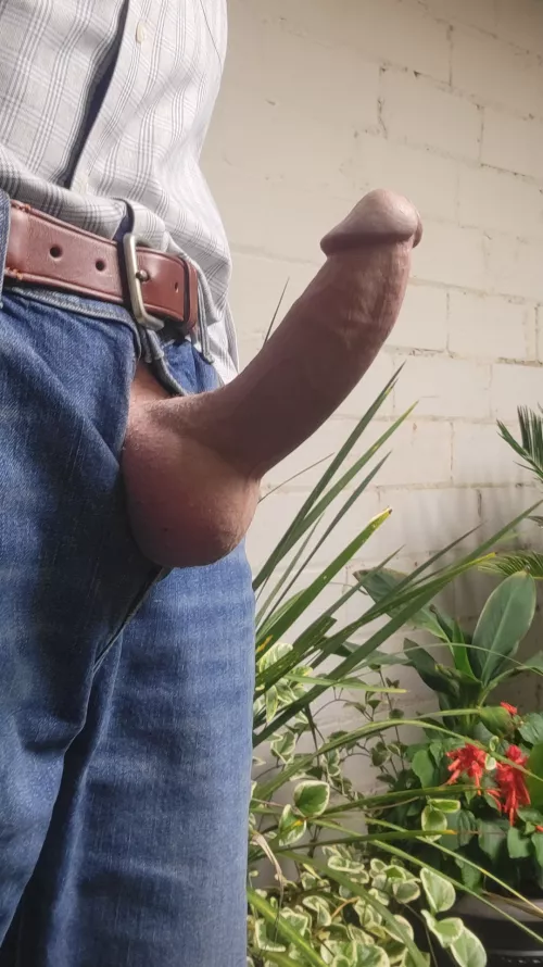 (62) daddy in the greenhouse. 