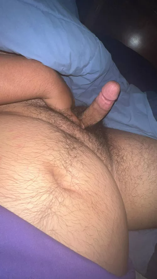 bears add beefybearcub