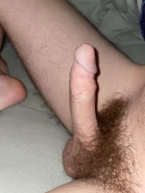Beautifully cut teen penis
