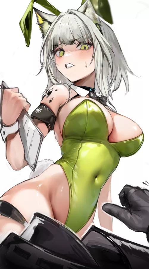  Bunny Kal'tsit [Arknights]