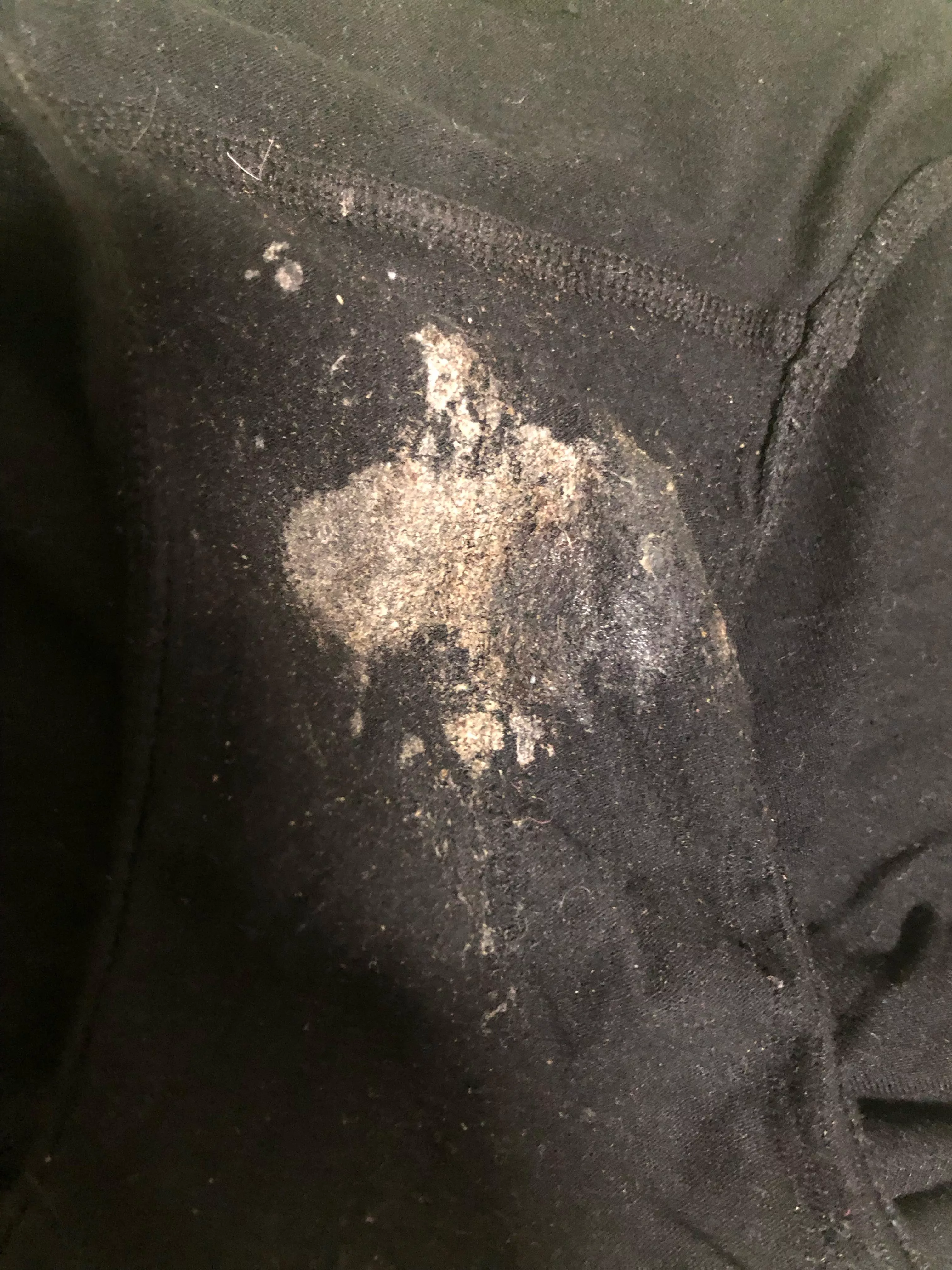 Dried juices pee + grool 