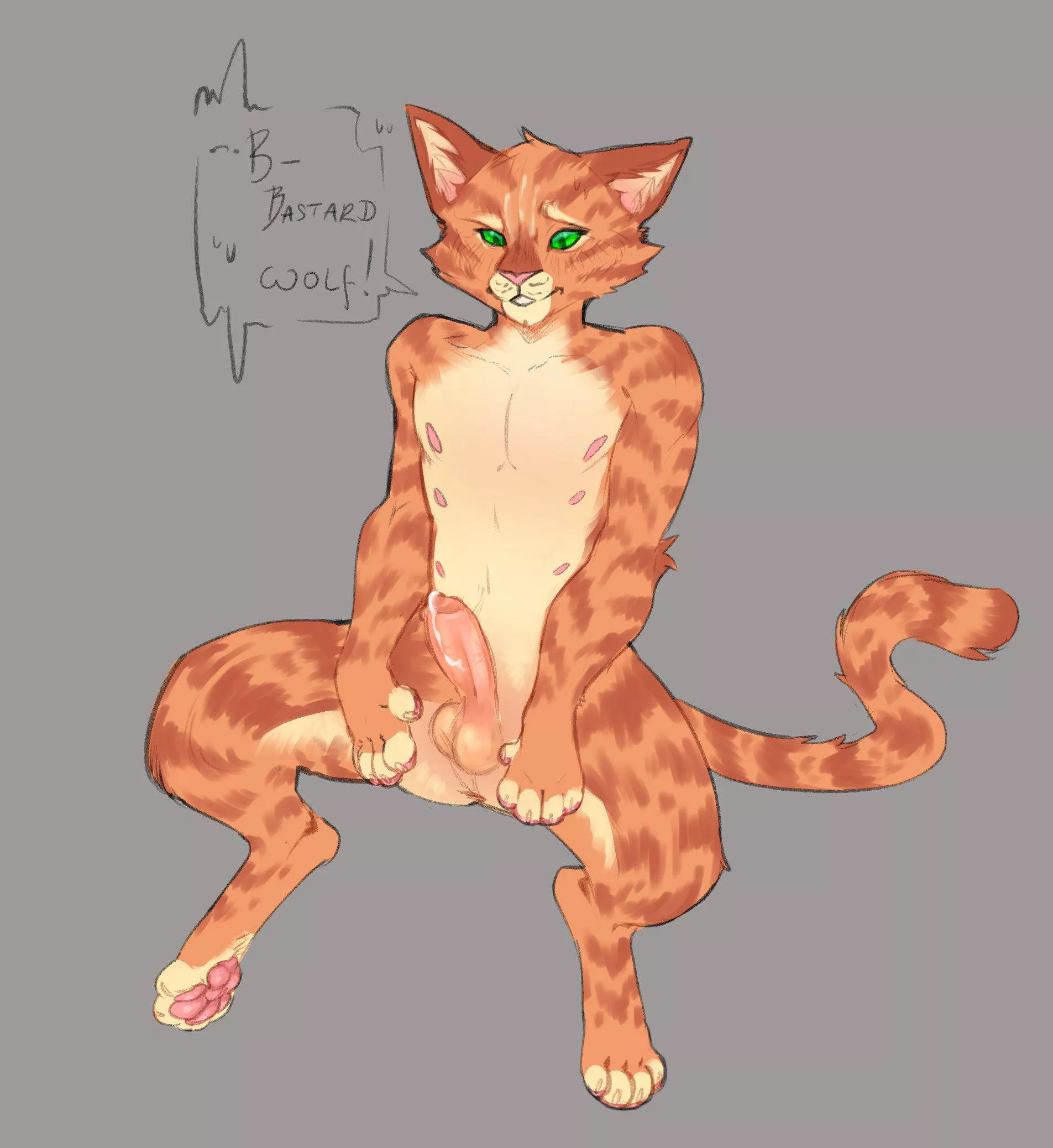 El Gato is waiting (squibstash) 