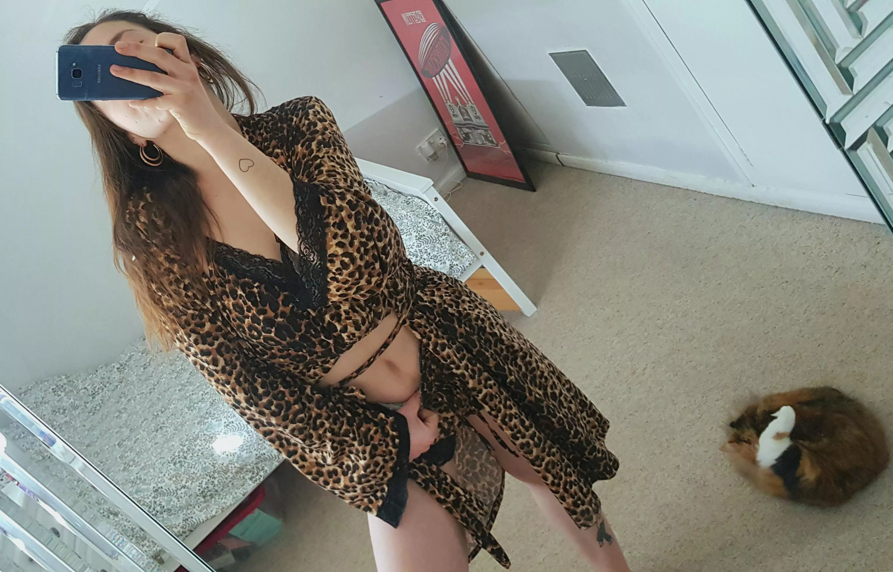 I want to be your wild cat 🐆😽