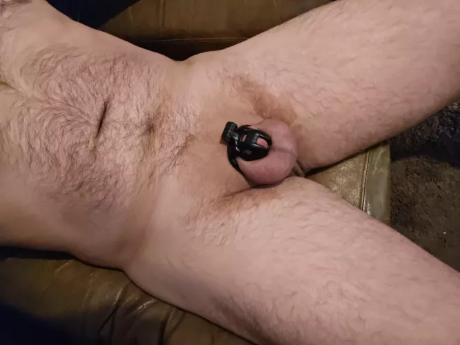 I'd say the baby cobra is a pretty good fit for me!