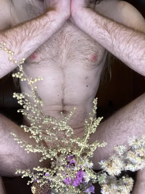 It’s a forest out there 