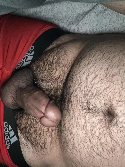 Just a bear with a hard cock