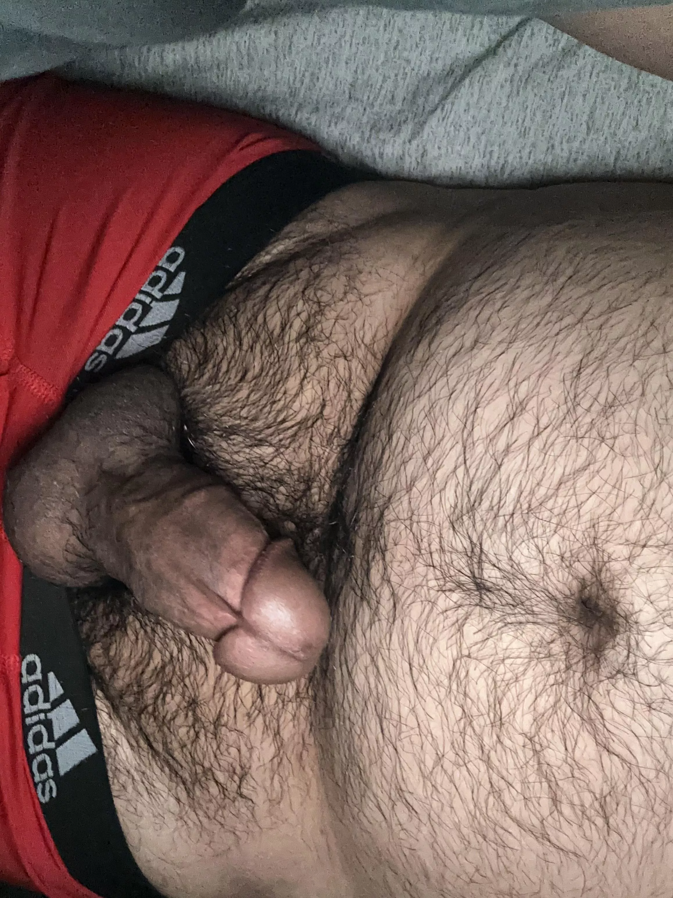 Just a bear with a hard cock
