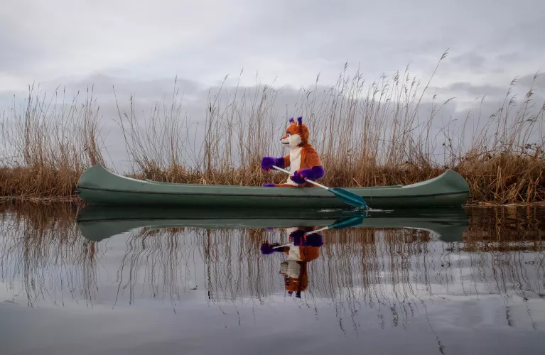 Just exploring the area in a canoe