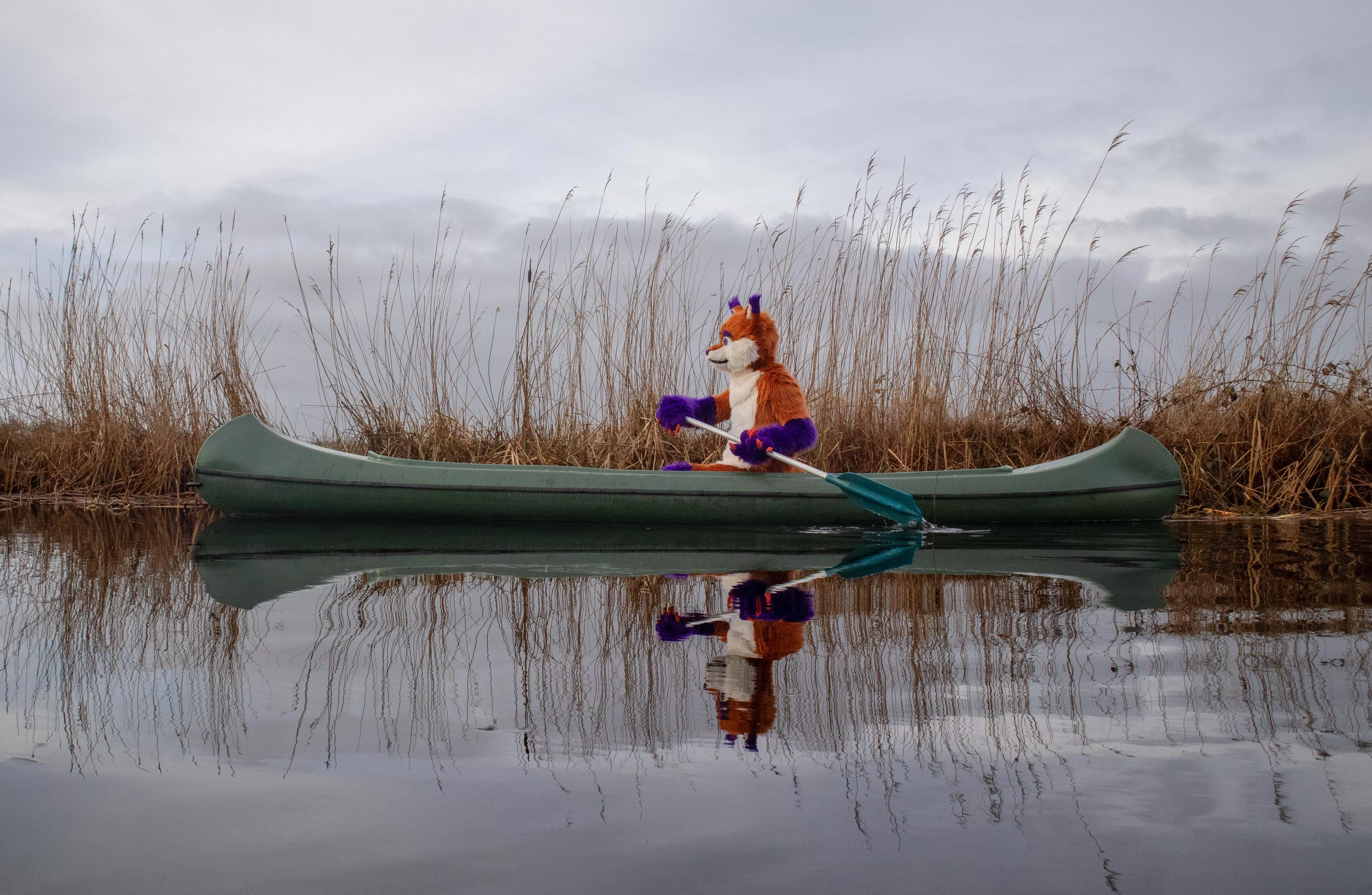 Just exploring the area in a canoe