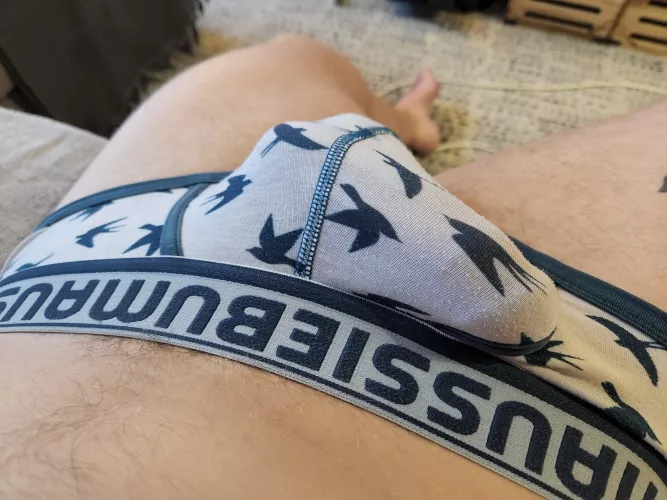 Just my chubby bulge