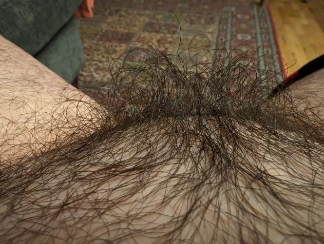 My bush is like a soft blackberry bramble