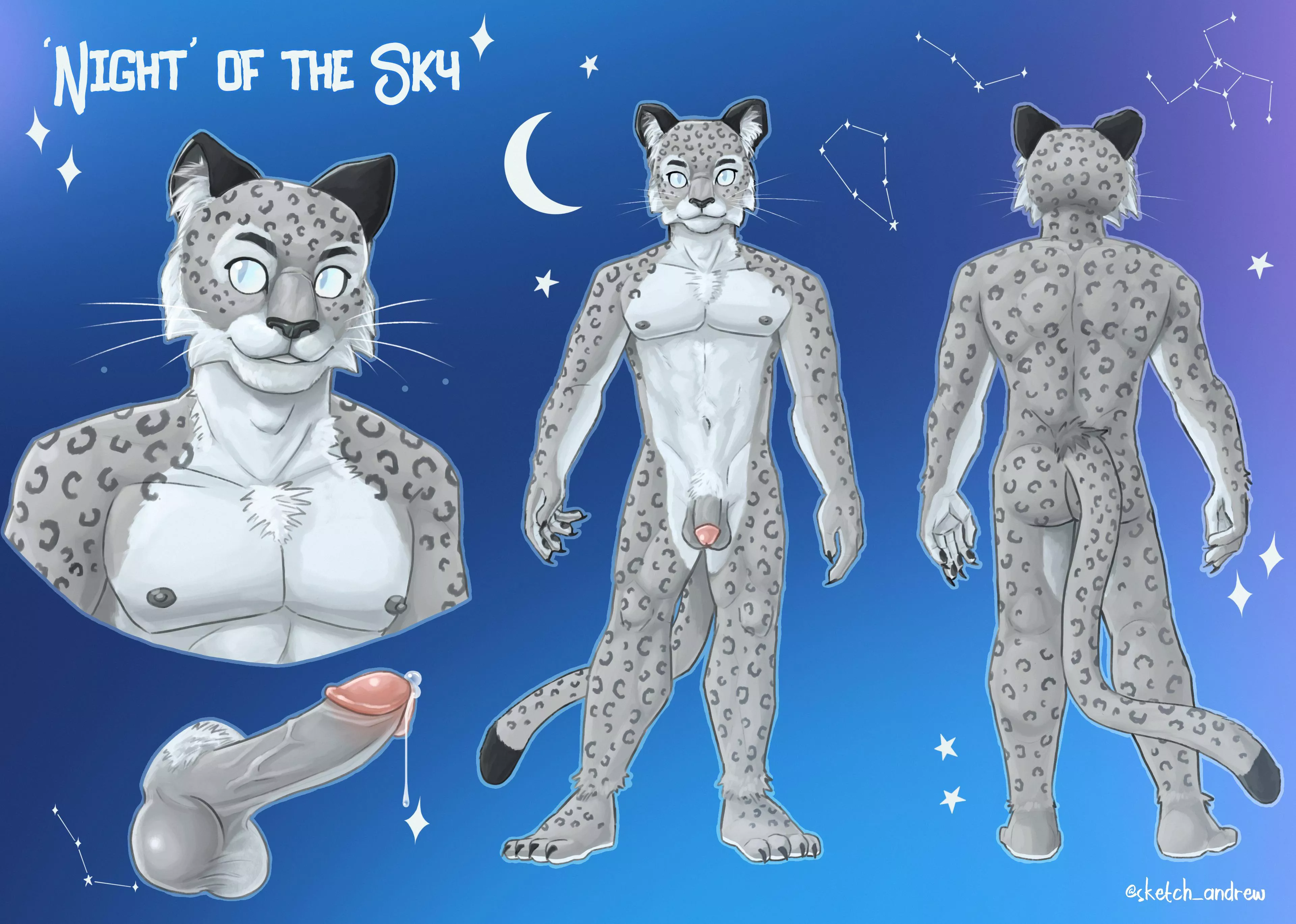Sharing a furry reference sheet commission I did (artist Me @sketch_andrew on X)