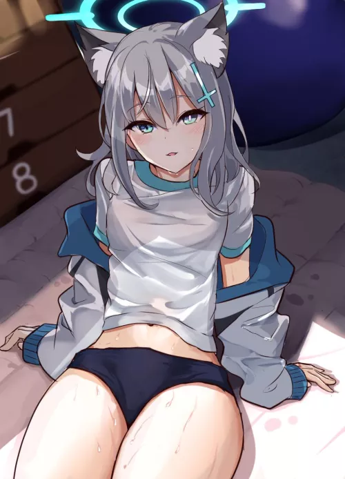 Shiroko [Blue Archive]