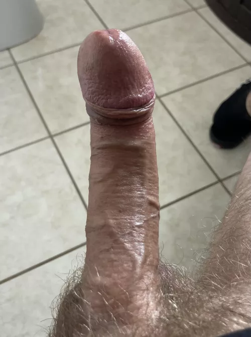 Suck my cock and I’ll tickle your insides (45)