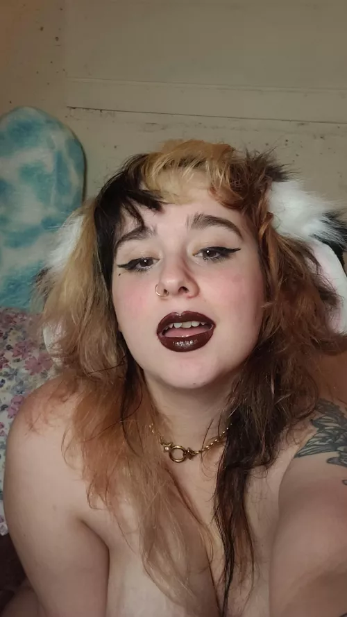 This Bunny has been working hard on looking pretty 