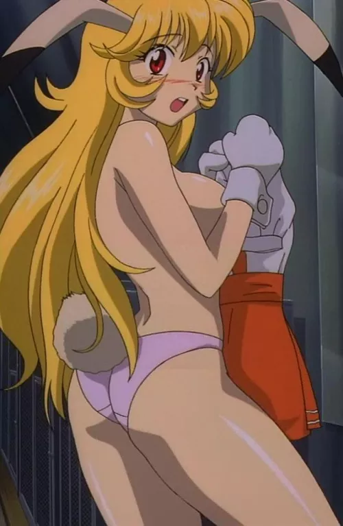 [Usagi-chan de Cue!!] Rabbit girl bod