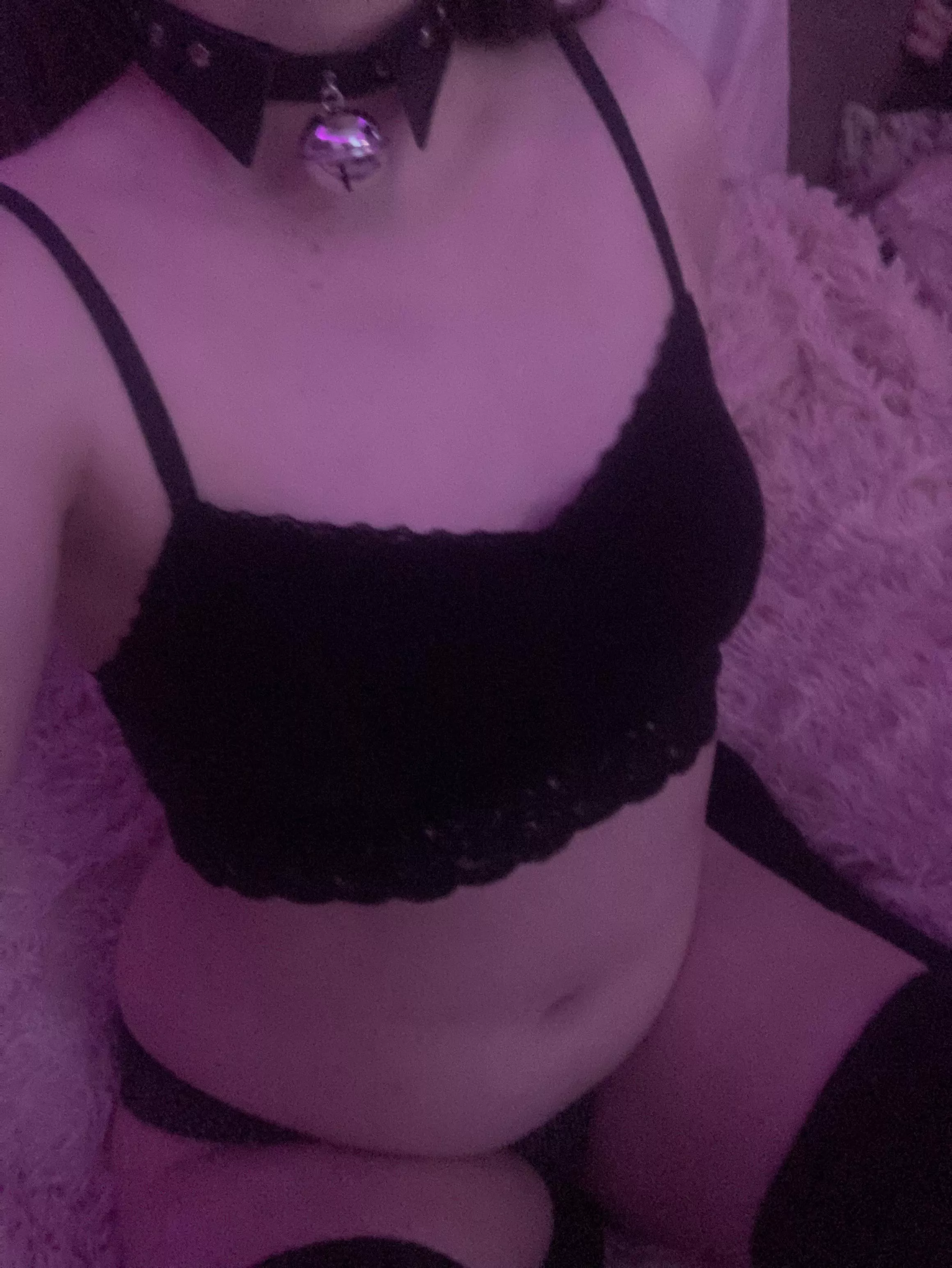 Would you tug on my collar? 🥺