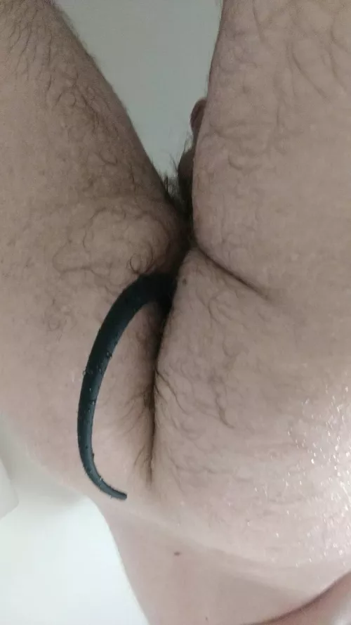 20, my first tail! My other pup gear is coming soon ;)