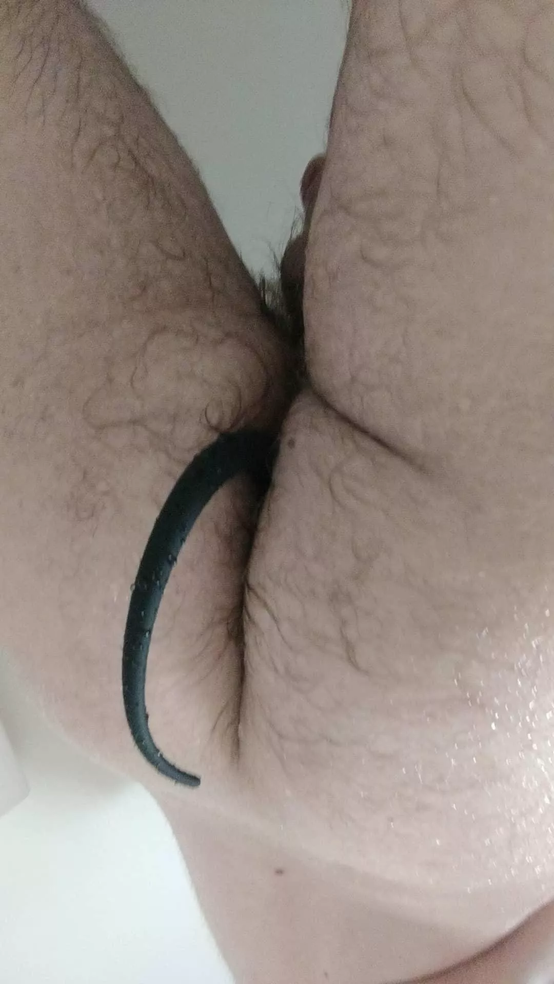 20, my first tail! My other pup gear is coming soon ;)