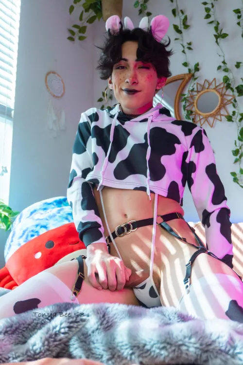A wild Cow Femboy appears! What do you do?
