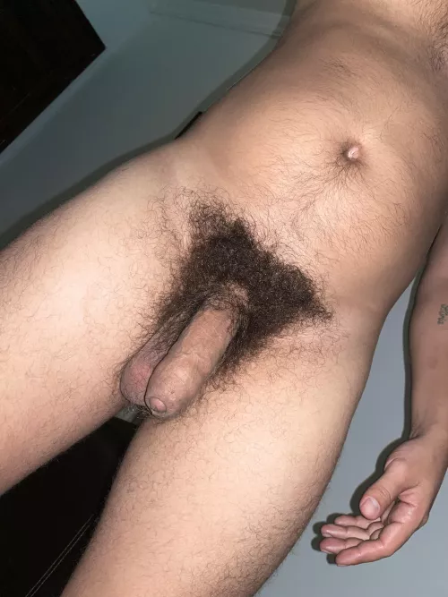 An uncut dick, with the smell of semen, and a dense bush