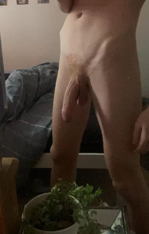 anyone like hung twinks?[18]