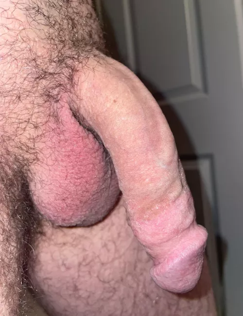 Big floppy white cock